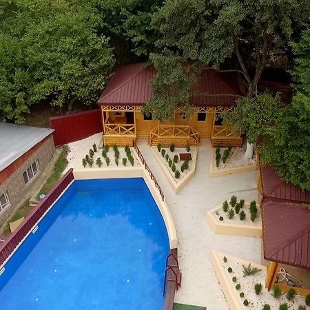 Nikala Bed and Breakfast Telavi Buitenkant foto