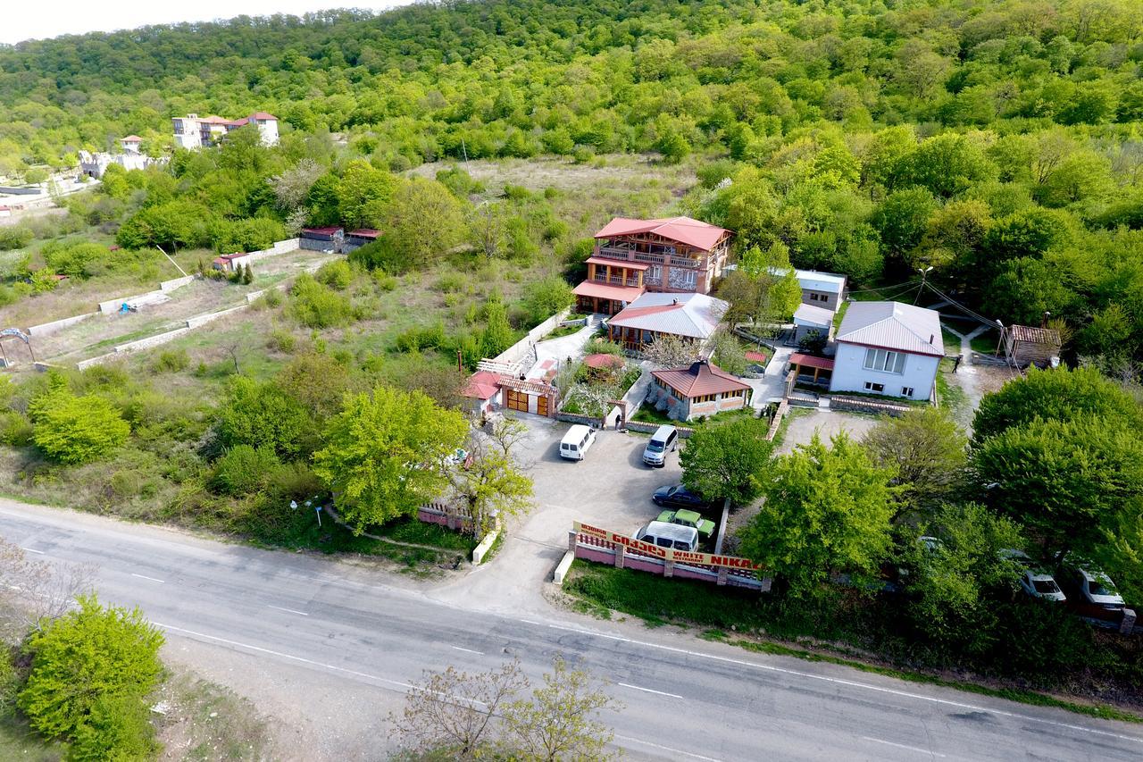 Nikala Bed and Breakfast Telavi Buitenkant foto