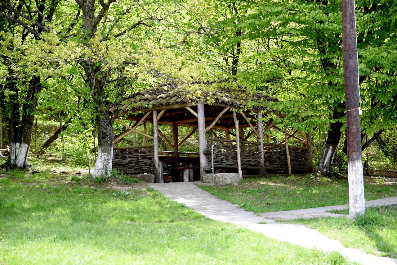 Nikala Bed and Breakfast Telavi Buitenkant foto