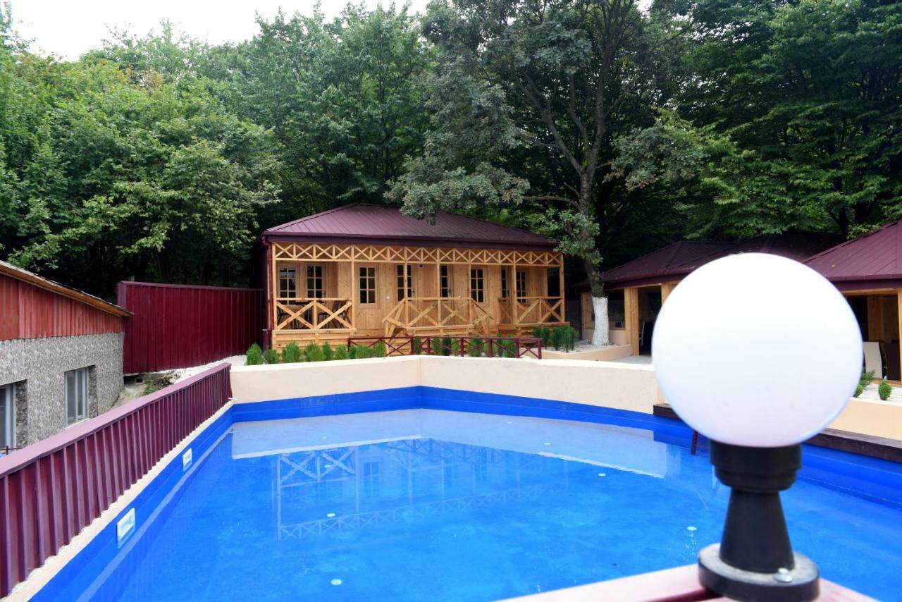 Nikala Bed and Breakfast Telavi Buitenkant foto