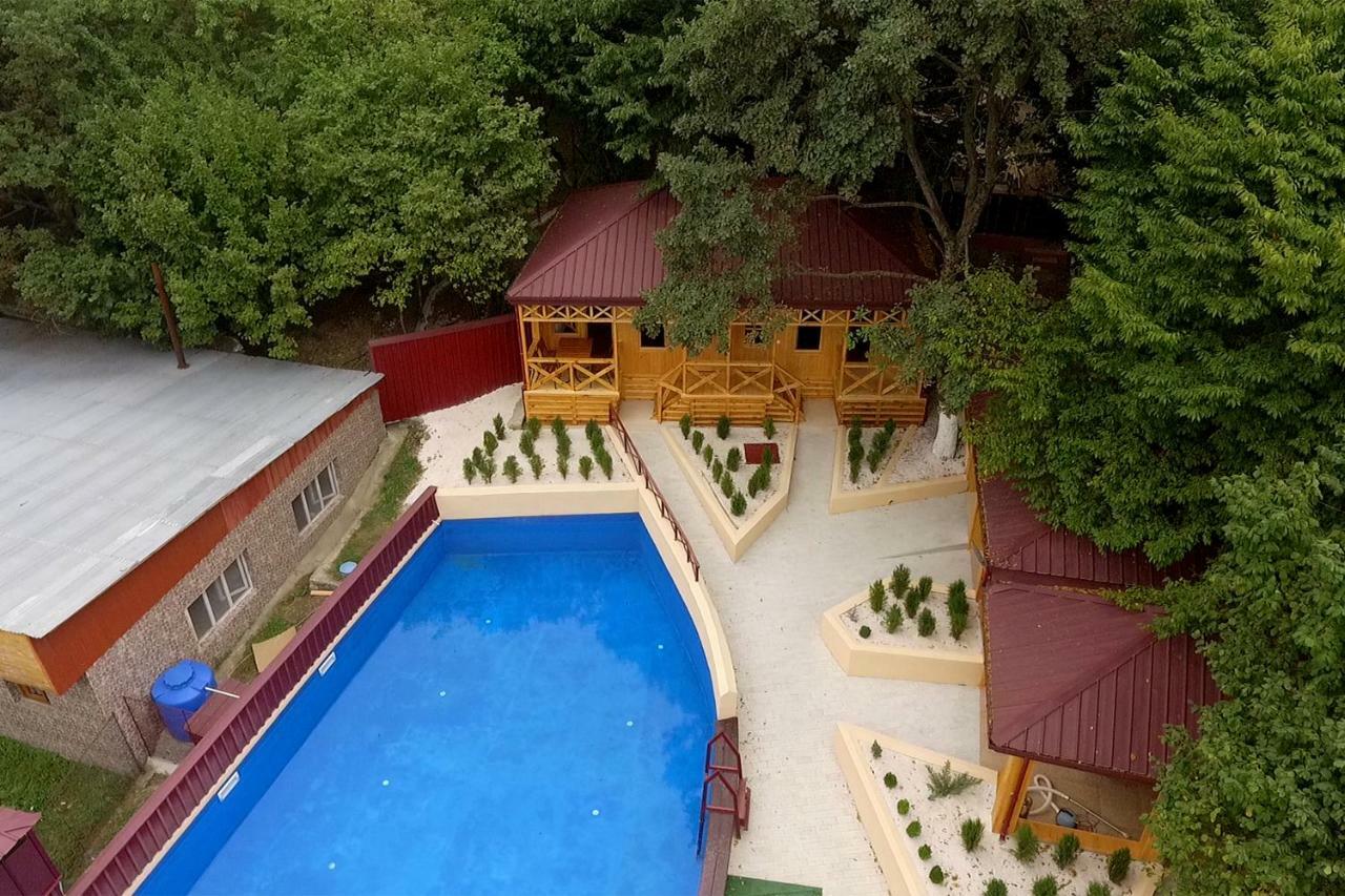 Nikala Bed and Breakfast Telavi Buitenkant foto