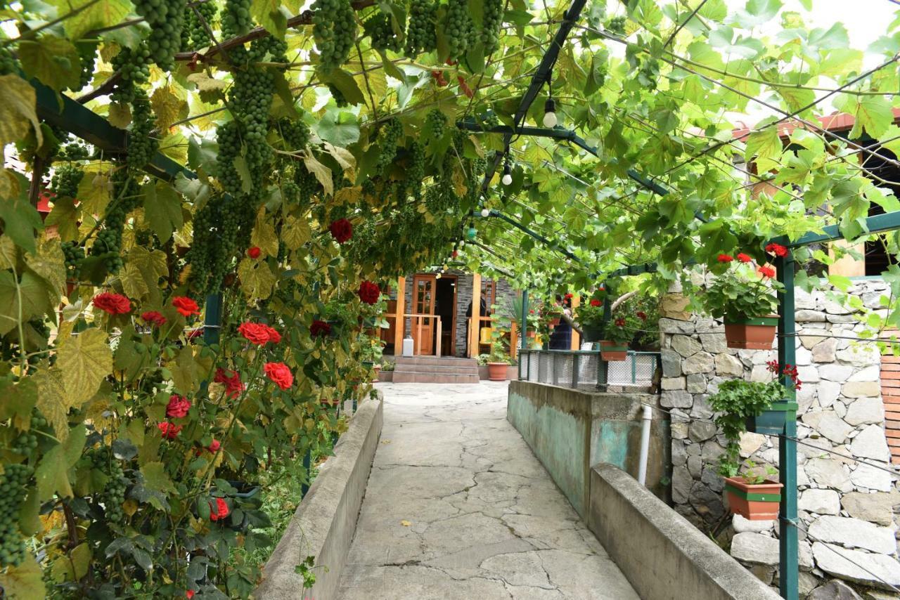 Nikala Bed and Breakfast Telavi Buitenkant foto
