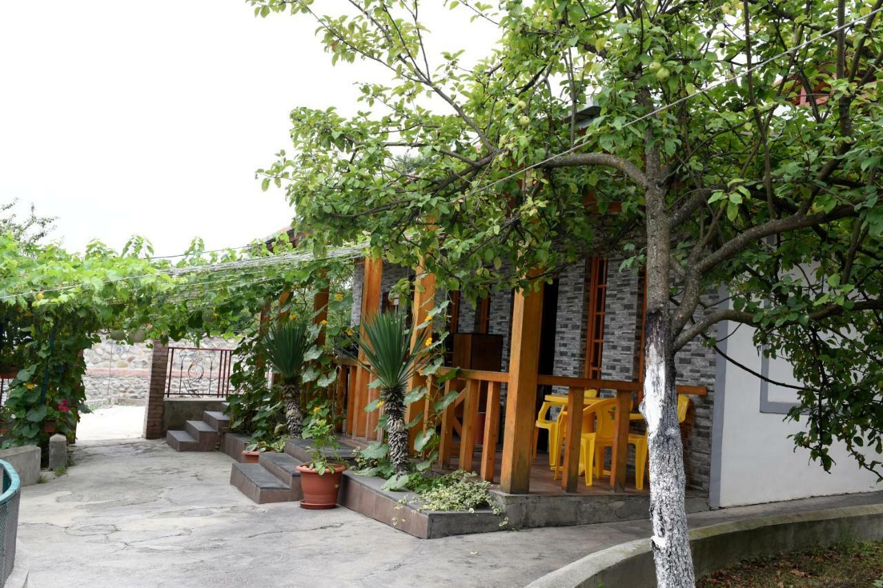 Nikala Bed and Breakfast Telavi Buitenkant foto
