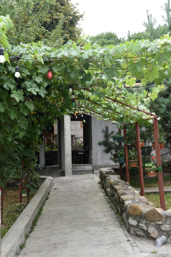 Nikala Bed and Breakfast Telavi Buitenkant foto